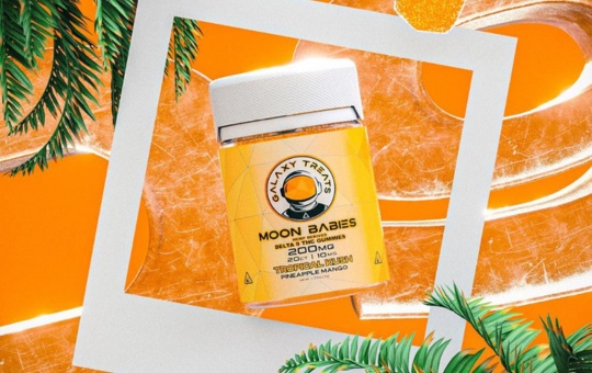 Orange backround with Palm trees featuring a polaroid of galaxy treats Tropical Kush CBD gummies